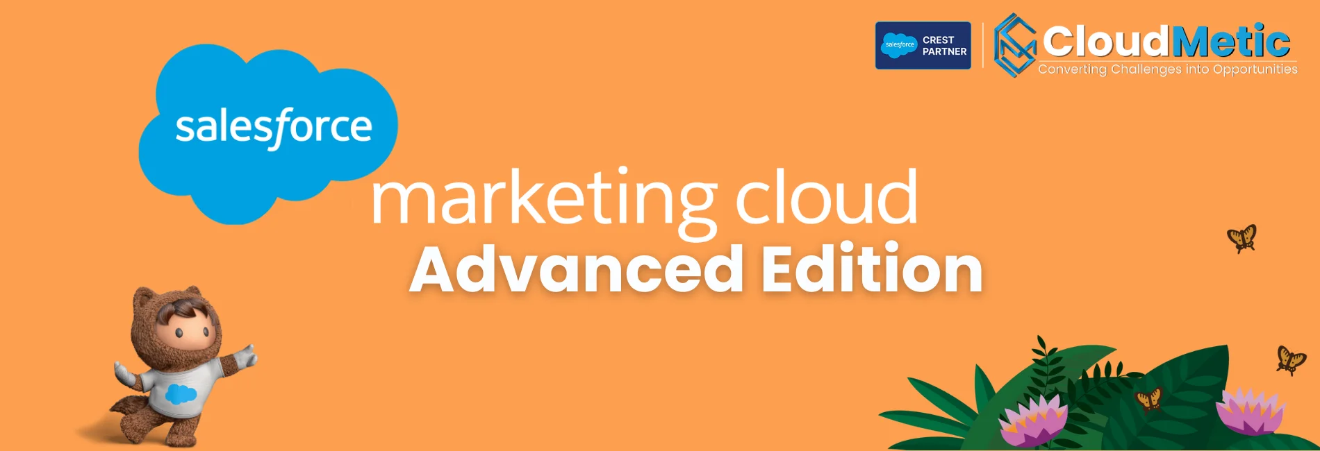 Salesforce Introduced Marketing Cloud Advanced Edition at Dreamforce