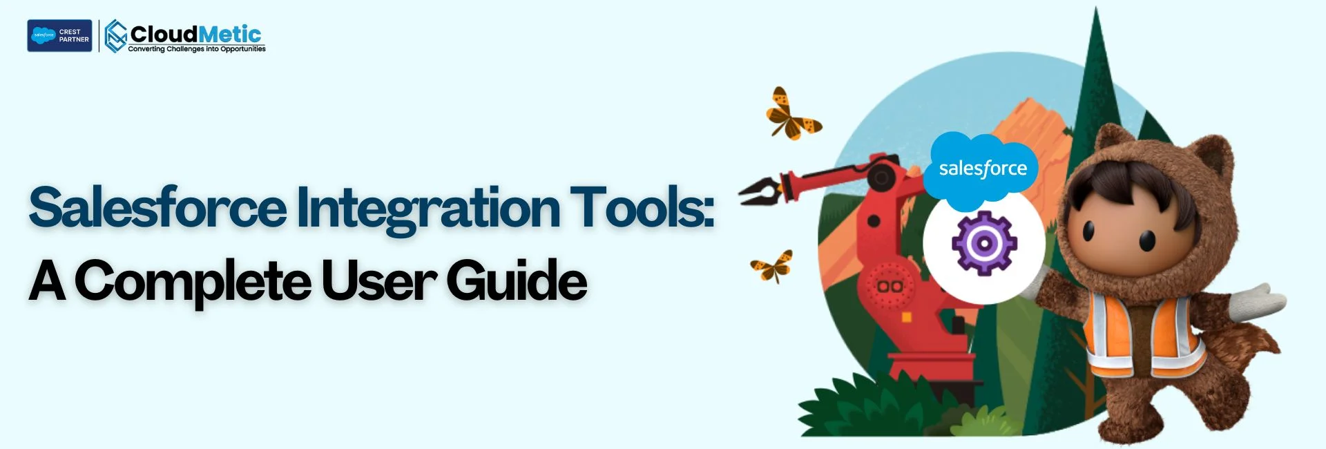 Salesforce Integration Tools: Quick User Guide