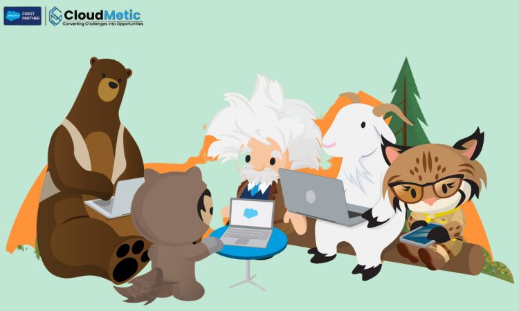 how does salesforce trailhead function